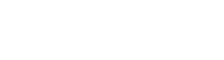 PROMAJECT LOGO_Oriz